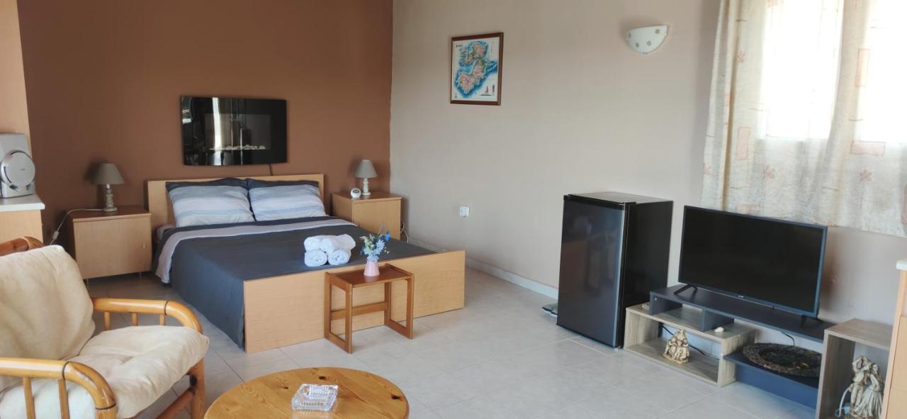 Penthouse Studio Next To The Sea 萨拉米斯 外观 照片